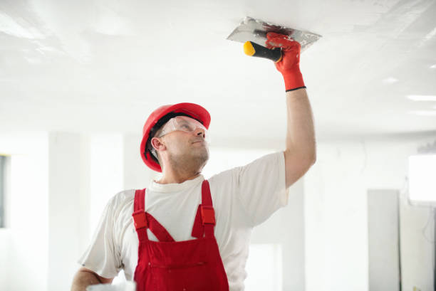 Best Eco-Friendly and Low-VOC Painting  in , CO