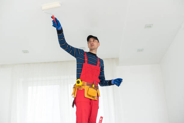 Best Commercial Painting  in , CO